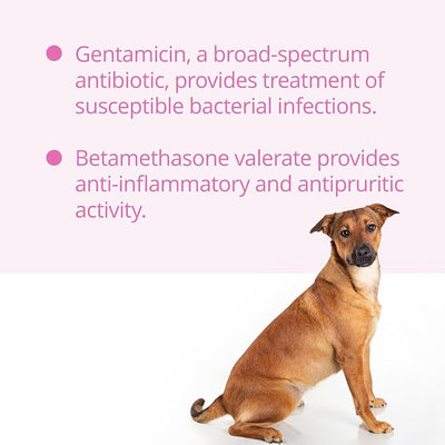 GENTACALM® Topical Spray (Gentamicin Sulfate, USP with Betamethasone Valerate, USP) 120 mL Spray Bottle for Dogs