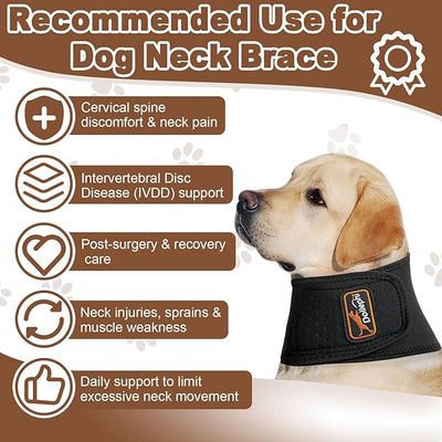 Dog Neck Brace with Hot/Cold Compress, Cervical Spine Support Collar for Dogs with IVDD, Neck Pain, Injury & Post-Surgery Recovery(M)