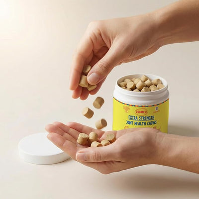 Zoomies Hip & Joint Supplement for Dogs - Soft Chews with Eggshell Membrane, Boswellia, MSM - Joint Support for Senior Dogs - Made in USA - 60 Chews
