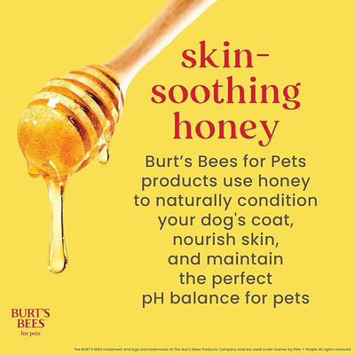 Burt's Bees for Pets Natural Ear Cleaner for Dogs with Peppermint and Witch Hazel, 99.7% Natural Origin Formula, Dog Ear Cleaning Solution for Dogs and Puppies, 4 Fl Oz - 2 Pack