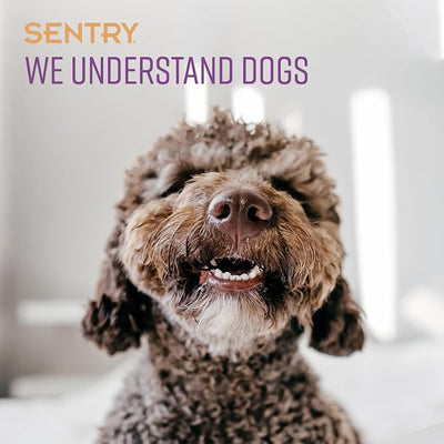 Sentry PET Care Sentry Calming Collar for Dogs, Anxiety Reducing Pheromone Collar, Releases Pheromones for 30 Days, Helps Calm During Loud Noises and Separation, 1 Count