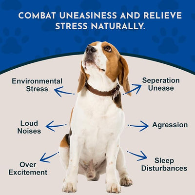 Animal Essentials Tranquility Blend - Valerian Root for Dogs & Cats, Organic Calming Drops for Dogs & Cats, Natural Pet Care Supplement to Relax & Sleep, Herbal Calm Support - 1 Fl Oz