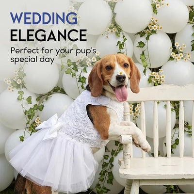 ASENKU Dog Dress Pet Wedding Dress Princess Lace Puppy Birthday Party Outfit Formal Apparel Girl for Small Medium Dogs Cats (XL, White)