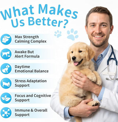 Calming Chews for Dogs - Advanced Calming Treats for Dogs Anxiety, Stress, Separation, & Thunder, Relaxation with Ashwagandha & L-Theanine, Non-Drowsy Alternative to Melatonin, Bacon Flavor, 2 Pack