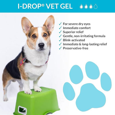 I-DROP Vet Gel: Pet Eye Drops for Dogs | Lubricate Acute/Seasonal Dry Eyes | Superior Comfort | Long-Lasting Relief | Fewer Application Needed, 0.30% Hyaluronan | Multi dose Bottle | One Bottle 10 ml
