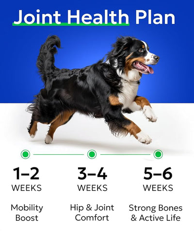 BARK&SPARK Glucosamine Chondroitin Dog Hip & Joint Supplement - Joint Pain Relief - Hip & Joint Chews - Joint Support Large Small Breed - Senior Doggie Vitamin Pill Joint Health