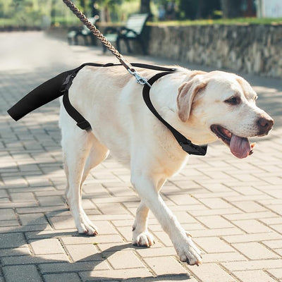 Ohcozzy Dog Tail Protector, Dog Harness with Tail Guard Ends Protector Sleeve, Dog Tail Bandage Cover for Comfortable Wound Injury Recovery,M