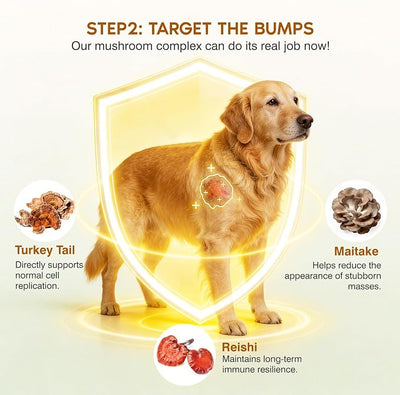 Turkey Tail Mushroom for Dogs,Senior Dog Supplement for Lumps, Bumps & Lipoma,Soft Chews with Reishi, Maitake, Turmeric & Astragalus,Supports Immune Health,Natural Chicken Flavor, 120 Count