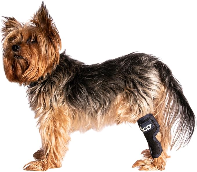 Dog Hock Brace for Ankle Support & Arthritis, Vet Approved Dog Back Leg Brace, Adjustable with Removable Splints, Orthopedic Support for Injuries, Sprains & Post-Surgery Recovery (Small)