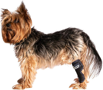 Dog Hock Brace for Ankle Support & Arthritis, Vet Approved Dog Back Leg Brace, Adjustable with Removable Splints, Orthopedic Support for Injuries, Sprains & Post-Surgery Recovery (Small)