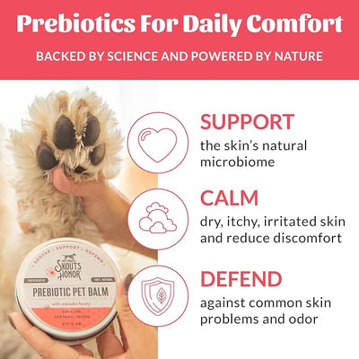 SKOUT'S HONOR Prebiotic Pet Balm - 100% Natural and Made w/Manuka Honey to Promote Healing of Your pet's paw Pads and Nose, Soothes Dry, Itchy Paws and Noses - Safe for Cats and Dogs, 2oz, 2-Pack