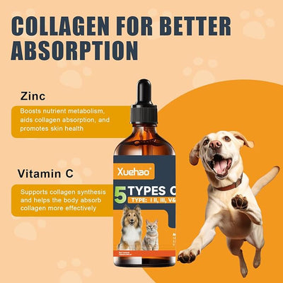 Premium Collagen for Dogs & Cats– 5 Types of Grass-Fed Collagen，Support for Skin & Coat，with MSM, Biotin & Hyaluronic Acid | 120ml/4.06 floz(01)