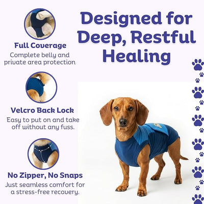 Surgi Snuggly Dog Surgery Recovery Suit - Dog Onesie for Post Surgery Recovery, Female Spay & Male Neuter - Surgical Suit for Dogs, E-Collar Cone Alternative, Double Blue - Small - 10" - 13" (EC)