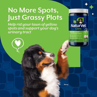 NaturVet – GrassSaver Wafers for Dogs Plus Enzymes – 300 Wafers – Healthy Supplement to Help Rid Your Lawn of Yellow Spots – Synergistic Combination of B-Complex Vitamins & Amino Acids