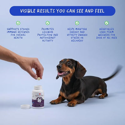 Turkey Tail Mushroom for Dogs 120 Tablets - Lumps, Bumps & Immune | Mushroom blend: Turkey Tail, Reishi, Cordyceps, Lion's Mane & Maitake. Plus Vitamin C, Milk Thistle & CoQ10.