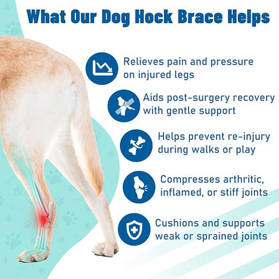 Dog Leg Braces for Back & Front Legs- Dog Hock & Ankle Joint Brace for Weak Back Legs with 2 Metal Strips, Reflective Trim for Sprain, Injury, Arthritis, Wound Recovery,Blue,2XL