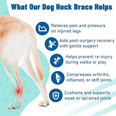 Dog Leg Braces for Back & Front Legs- Dog Hock & Ankle Joint Brace for Weak Back Legs with 2 Metal Strips, Reflective Trim for Sprain, Injury, Arthritis, Wound Recovery,Blue,XL-2