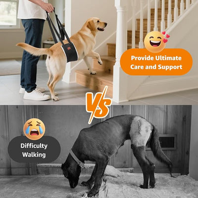 LOOBANI Portable Dog Sling for Back Legs, Hip Support Harness to Help Lift Rear for Canine Aid Old K9 Cruciate Ligament Rehabilitation
