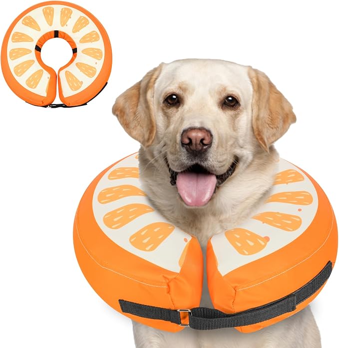 MIDOG Inflatable Dog Cone Collar Alternative After Surgery - Soft Protective Recovery Dog Cone for Large Medium Small Dogs & Cats, Elizabethan Collar for Dogs to Stop Licking - Orange,XL
