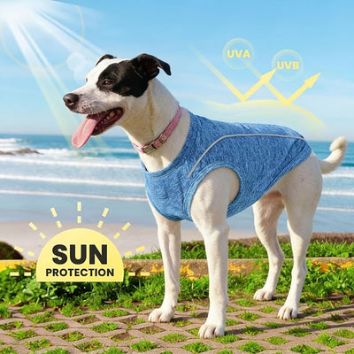 PETCARE Sun Protection Dog Shirts for Small Dogs Quick Dry Soft Stretchy Dog T-Shirts with Reflective Label Tank Top Sleeveless Vest Pet Clothes, Athletic Fabric, Navy, L (Chest 19" Length 15.7")