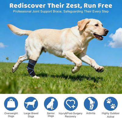 Dog Knee Brace for ACL Tear, Arthritis, Patella Luxation & Post-Surgery Support - Breathable, Adjustable Canine Leg Brace for Pain Relief & Mobility, for Medium & Large Dogs(L)