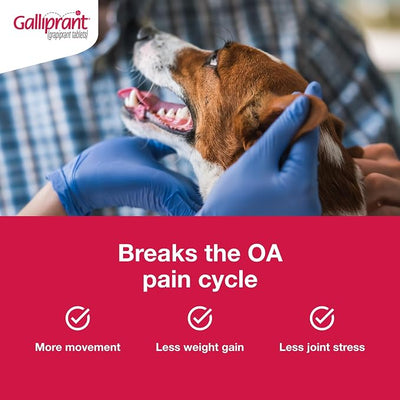 Galliprant Osteoarthritis Pain & Inflammation Control for Dogs | 20mg | 90 Flavored Tablets