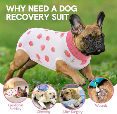 SAWMONG Recovery Suit for Dogs Female Male Zipper, Pink Strawberry Dog Onesie Body Suit After Surgery Spay Neuter, Cotton Breathable Dog Surgical Suit Pet, Substitute Dog E-Collar Cone, XL