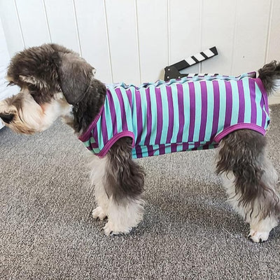 Dog’s Recovery Suit Post Surgery Shirt for Puppy, Wound Protective Clothes for Little Animals(Purple Blue Stripe-s)