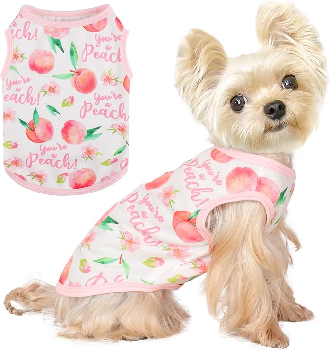 Dog Shirt Vest Dog Clothes for Small Dogs Boy Girl Stretchy Summer Puppy T-Shirts Soft Breathable Lightweight Puppy Sweatshirt Pet Cat Outfit (Peach, X-Small)