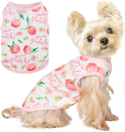 Dog Shirt Vest Dog Clothes for Small Dogs Boy Girl Stretchy Summer Puppy T-Shirts Soft Breathable Lightweight Puppy Sweatshirt Pet Cat Outfit (Peach, X-Small)