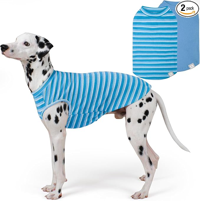 KYEESE 2Pack Waffle Dog Shirts, Lightweight Sleeveless Dog T Shirts for Medium Large Dogs Boy, Breathable Pet Vest Comfort Tank Top Soft Dogs Clothes for Daily Wear, Blue+Striped, 2XL
