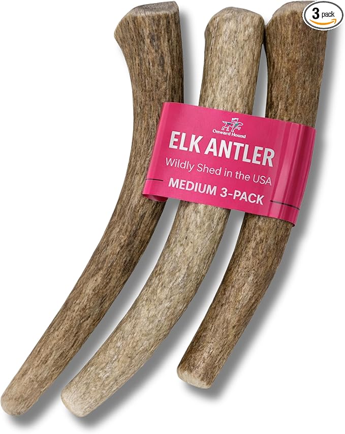 Onward Hound Elk Antlers for Dogs, 6 Inch+ Medium Whole Antler Chews, Natural Dog Antlers for Aggressive Chewers, Long Lasting Dog Chew, Single Ingredient, Low Odor No Greasy Mess, Made in USA, 3-Pack