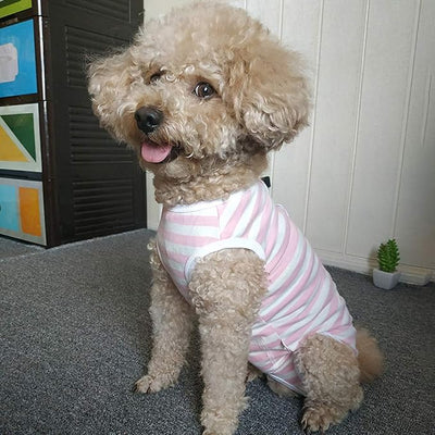 Dog’s Recovery Suit Post Surgery Shirt for Puppy, Wound Protective Clothes for Little Animals(Pink White Stripe-m)