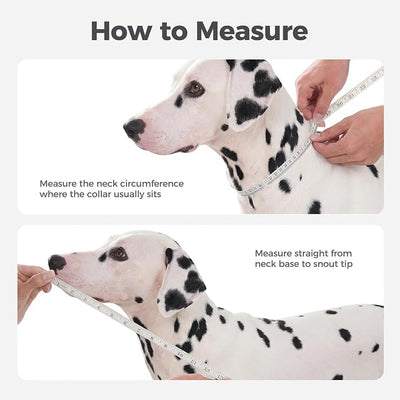 Avont 2026 Upgraded Dog Recovery Collar, Breathable Mesh Elizabethan Collar – Soft Dog Cone Alternative After Surgery to Stop Licking, Foldable/Adjustable/Secure-Fit for Medium Large Dogs, Blue (XL