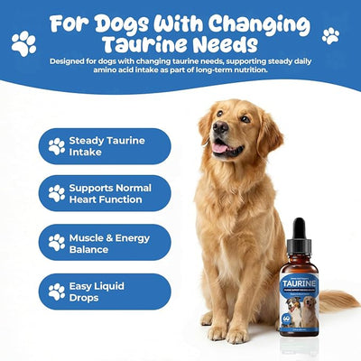 Taurine Liquid Supplement for Dogs, Daily Amino Acid Drops Supporting Heart & Muscle Function, Energy Balance & Physical Stability, 60 ml