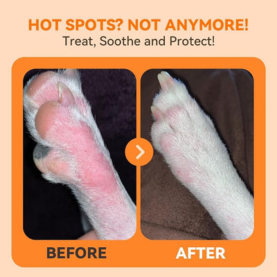PUAINTA Hot Spot and Wound Spray for Dogs - Advanced Anti Itch Spray, Evidence-Based Dog Hot Spot Treatment & Itch Relief with Nano-Silver, Lick-Safe, 8oz