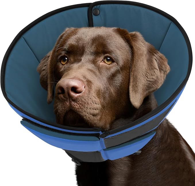 Queenmore Dog Cones for Large Dogs, Soft Dog Cone Collar for Large Breeds, Cone for Dogs After Surgery, Adjustable Elizabethan Collar for Pet to Prevent Licking Wounds, Blue L