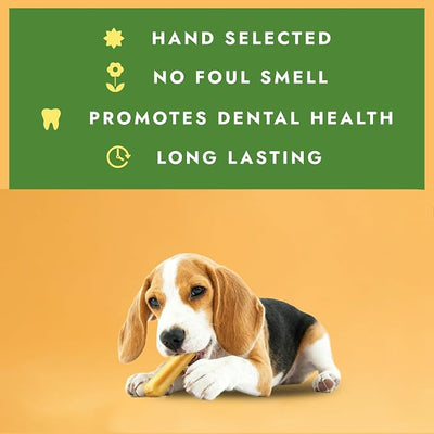 William Hunter Yak Cheese Himalayan Dog Chews - Long Lasting 100% Natural High Protein Dental Dog Chews for Aggressive Chewers (Medium 1 Pack)