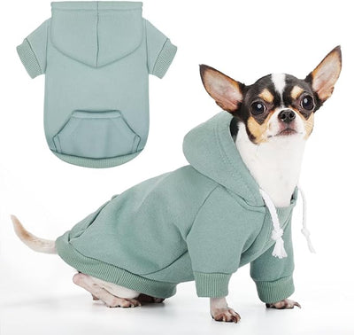 Paiaite Small Dog Hoodie Sweater: Winter Sweatshirt Pet Coat with Pockets, Hat & Leash Hole for Puppy Doggie Chihuahua, Small-Medium Dogs (Boy & Girl) – All Weather Wear Cyan L