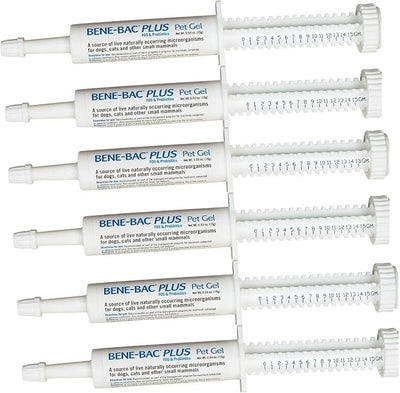 6 Pack Bene-Bac Plus Gel, 15g Syringe 6 -Pack