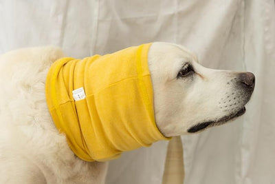 Quiet Ears for Dogs, Reusable Anxiety Relief Dog Snood for Flies, Grooming, Thunderstorms & Fireworks Pail Lilac+Yellow L