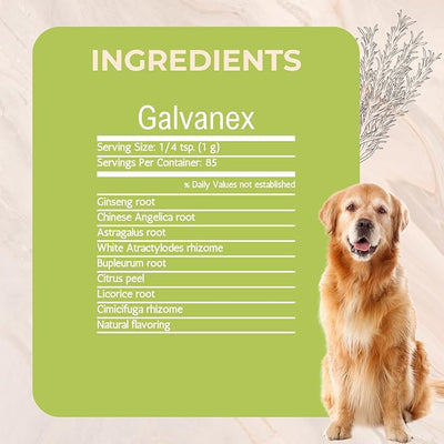 Galvanex Increase Qi to Support Physical & Emotional Strength, Circulation, and Immunity for Dogs by Gold Standard Herbs, All Natural Herbal Powder