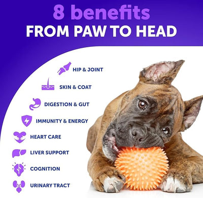 26 in 1 Dog Multivitamin with Glucosamine - Chewable Dog Vitamins and Supplements - Senior & Puppy Multivitamin Chews for Pet Hip & Joint Support, Immunity, Mobility, Skin, Digestion - 70 Soft Treats