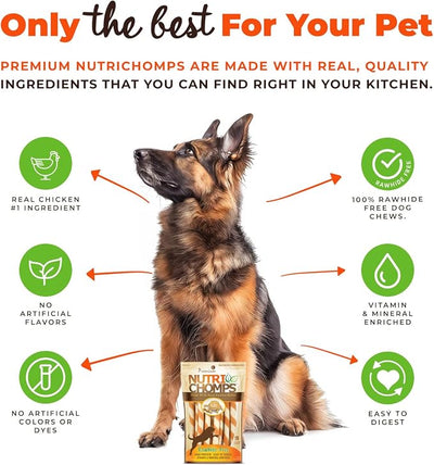 NutriChomps Dog Chews 5-inch Twists, Easy to Digest, Rawhide-Free Dog Treats, 10 Count, Real Peanut Butter Flavor, Bundle of 2, 20 Count, NT063V-2