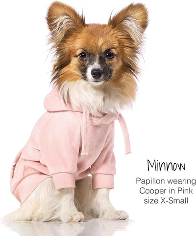 Pet Passion Cooper II Organic Cotton Velour Dog Hoodie Pet Coat for Small, Medium and Large Dogs, Pink, X-Small