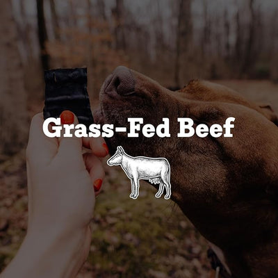 Farm Hounds - Beef Trainers - Premium Natural Beef Jerky for Dogs - Made from 100% Humanely Raised Cattle - Easy-Break - Great for Training & Treats - No Added Fillers - Made in USA - 4.5 oz - 1 Pack