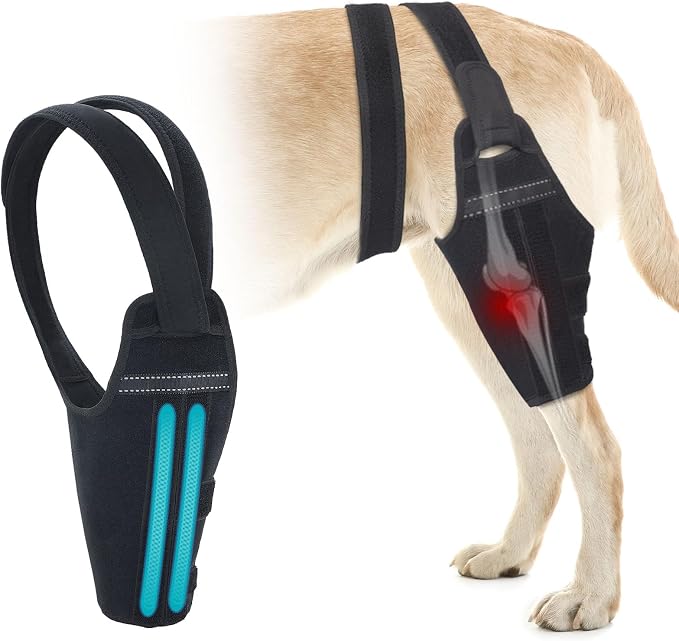 Dog Knee Brace for Torn ACL Hind Leg – Support Dog Leg Brace for Back Leg with 2 Stabilizers, Adjustable Hip Support to Reduces Pain Luxating Patella, Ligament Injuries, CCL (Left Leg, M)