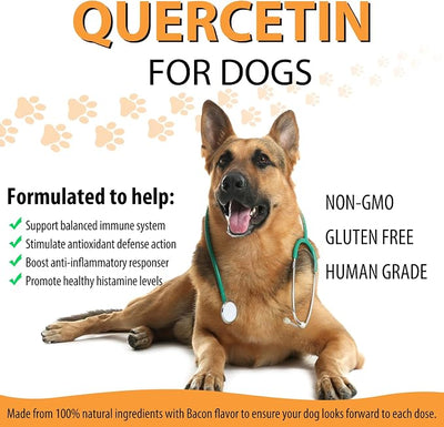 ALIVO Quercetin for Dogs, Dog Quercetin Liquid Drops Supports Dogs Allergy Relief, Dog Herbal Supplement - Pet SuppliesQuercetin for Dog Itch Remedies - 60 ml / 2 fl.oz