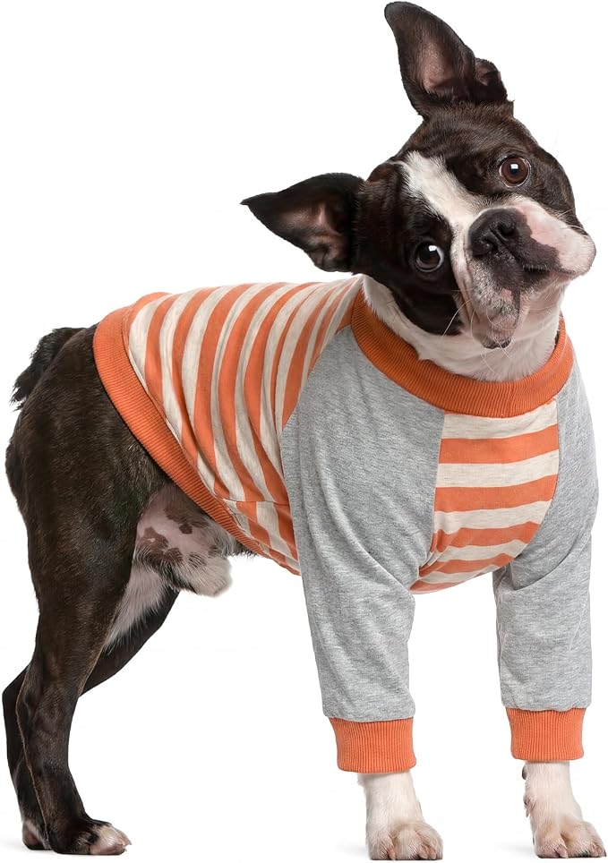 FUAMEY Dog Recovery Sleeve with Elbow Protector,Dogs Shirt Stop Licking Joints,Pet Long Sleeve Suit Protecting Dog's Front Leg Arm Wounds Cover Skin Conditions Orange Stripes S