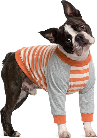 FUAMEY Dog Recovery Sleeve with Elbow Protector,Dogs Shirt Stop Licking Joints,Pet Long Sleeve Suit Protecting Dog's Front Leg Arm Wounds Cover Skin Conditions Orange Stripes M